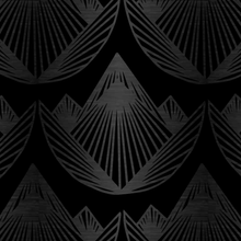 Lotus Black Black